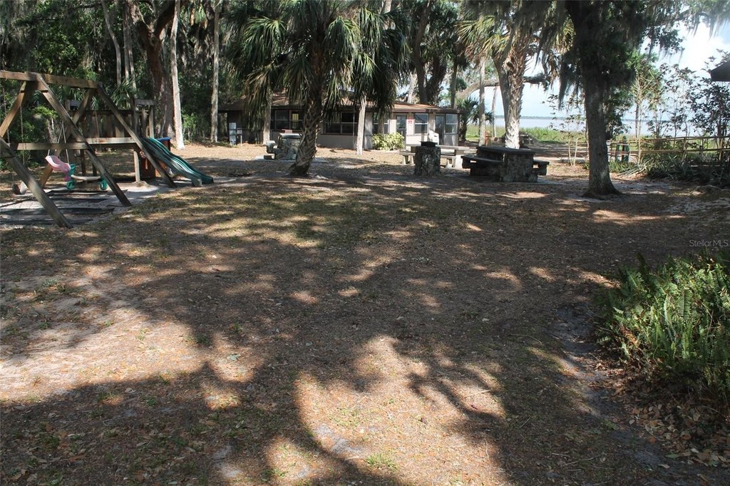 Picture 16