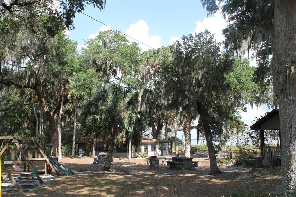 Picture 18