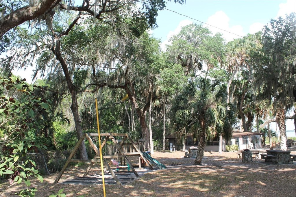 Picture 19