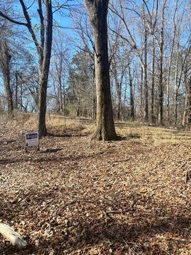 Recreation Land with No Restrictions
