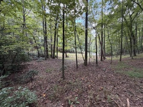 Vacant Lot, Ellijay, GA