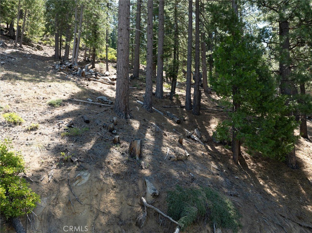 Picture 11