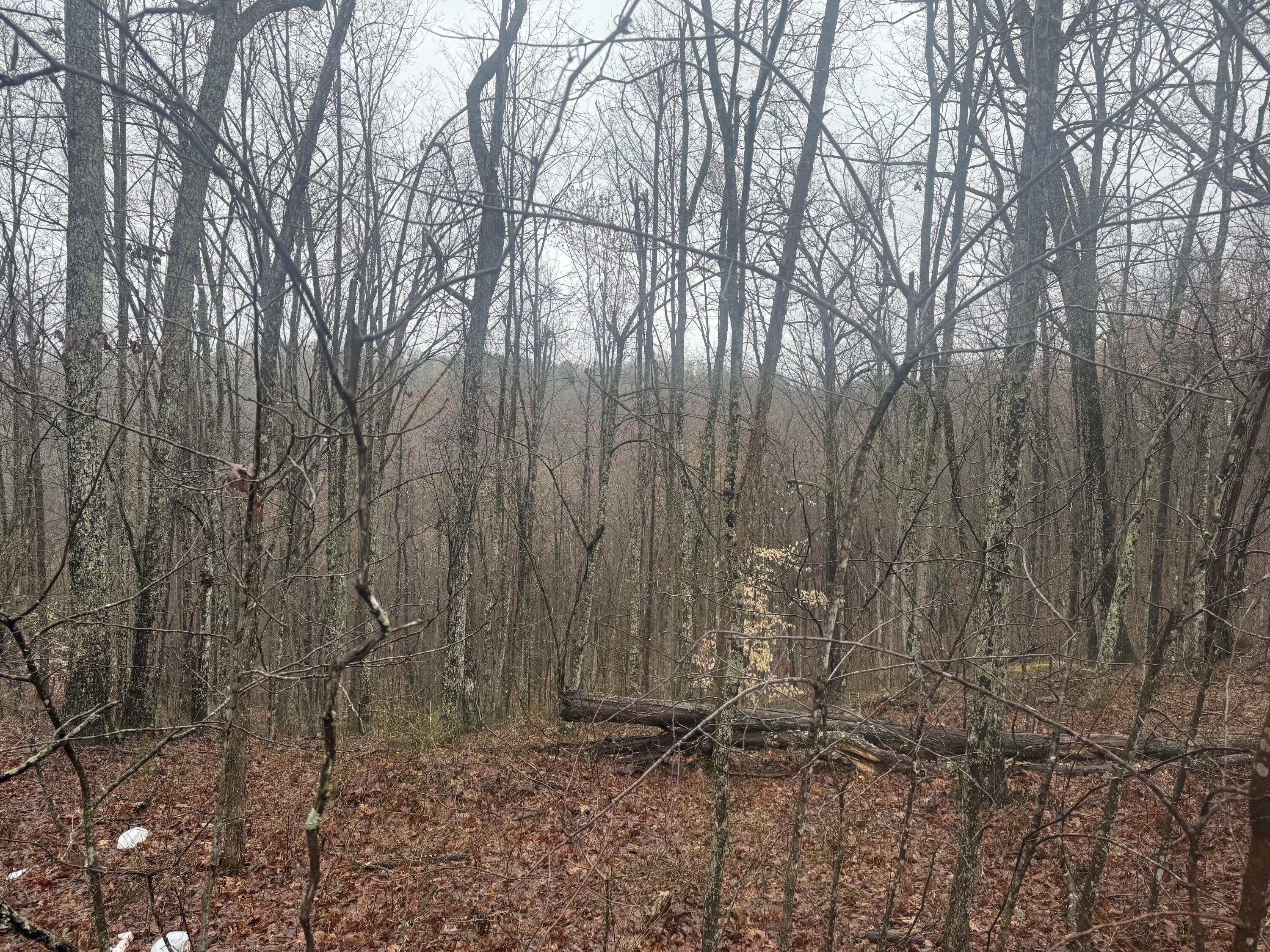 91 Acres Recreational Land For Sale