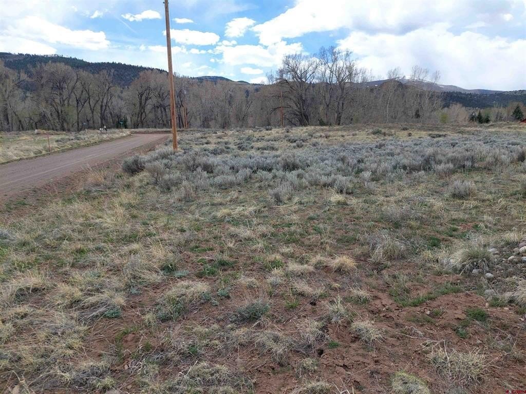 Picture 4