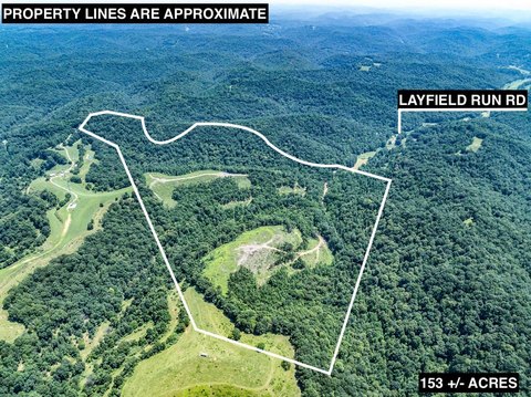Wooded Hunting and Recreation Land