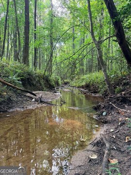 Land, Jasper, GA