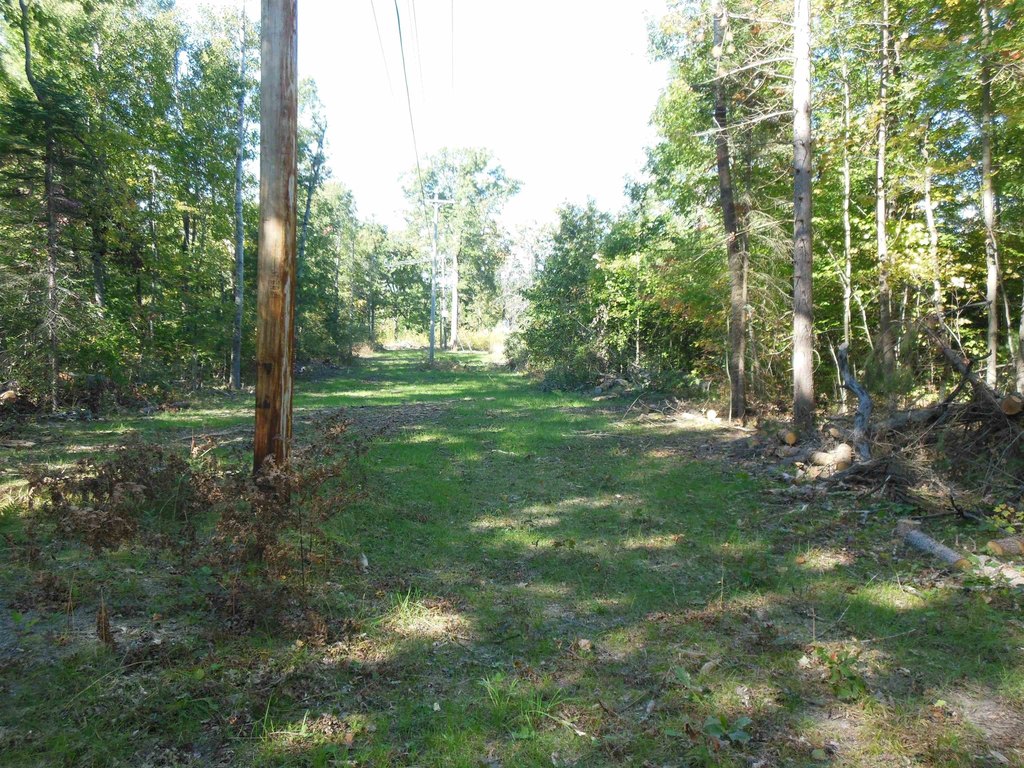 Picture 14