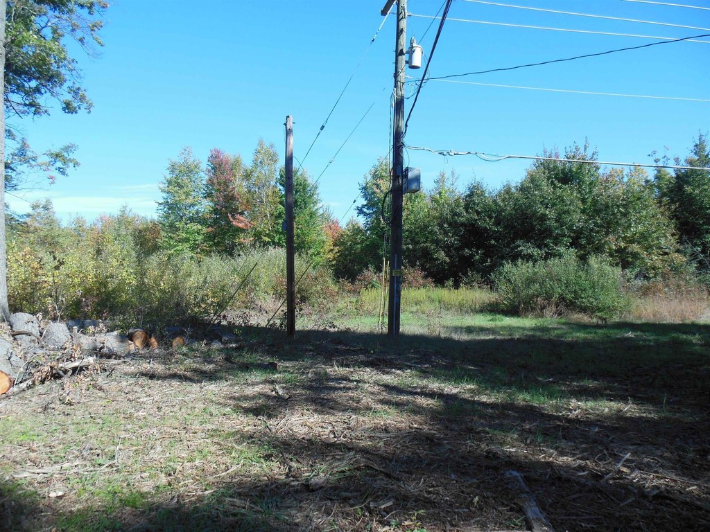 Picture 7