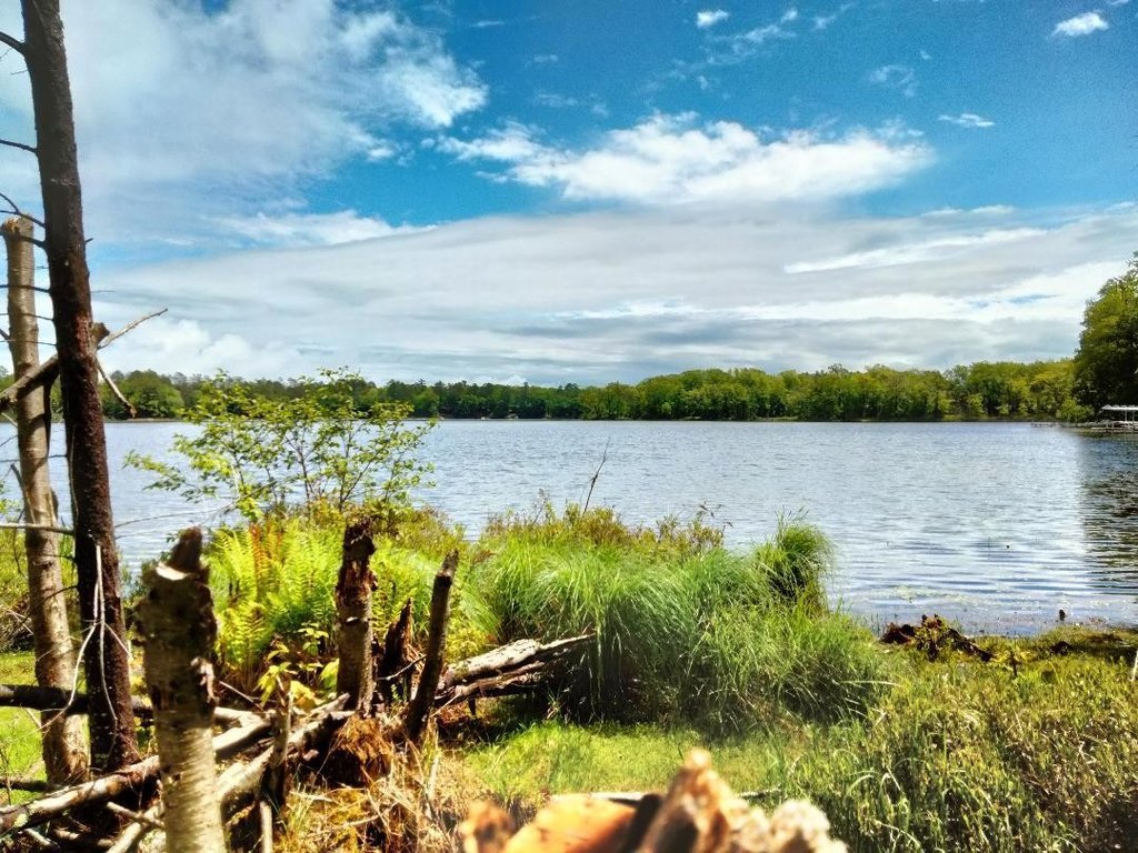 Picture 5