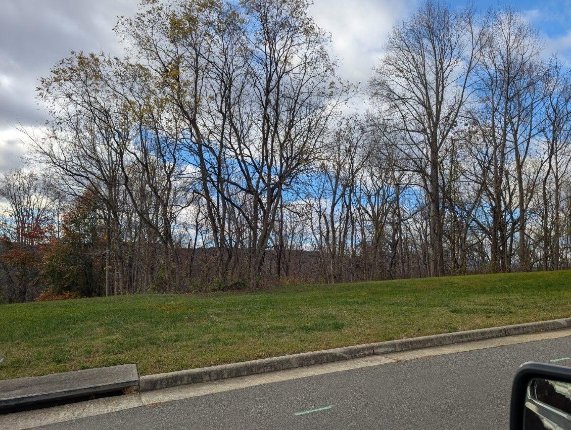 Wooded Land in Vinton, VA