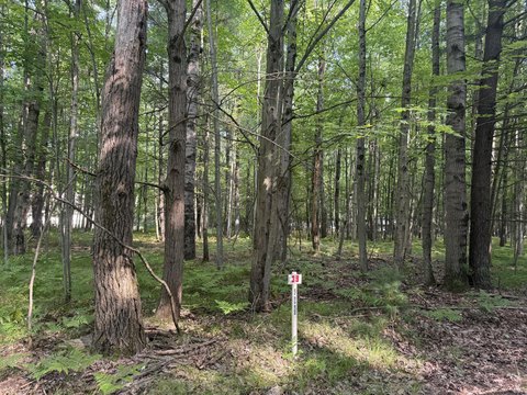 Land, Stanwood, MI
