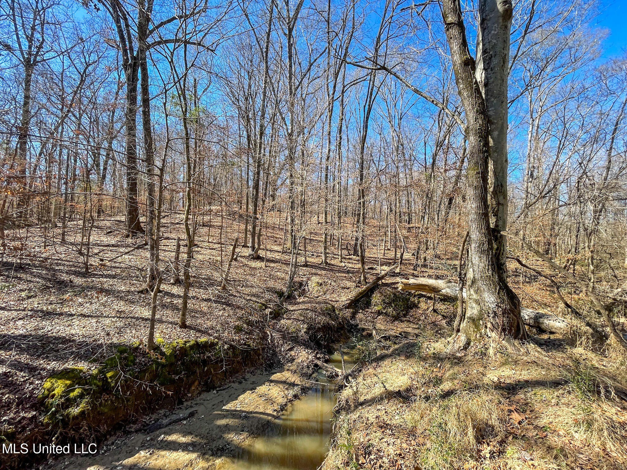 Recreational Land in Flora, MS