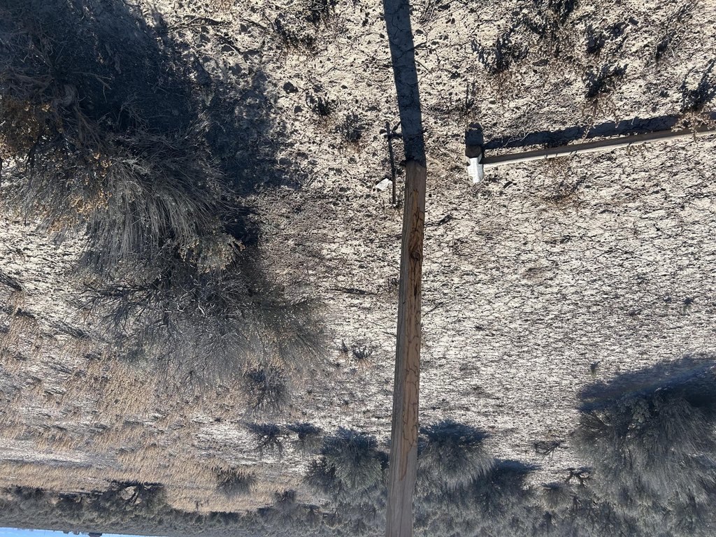 Picture 11