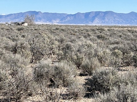 LAND - Beryl, UT