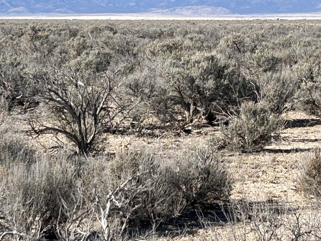Picture 22