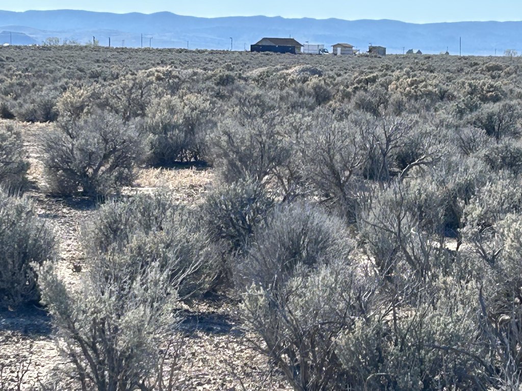 Picture 20
