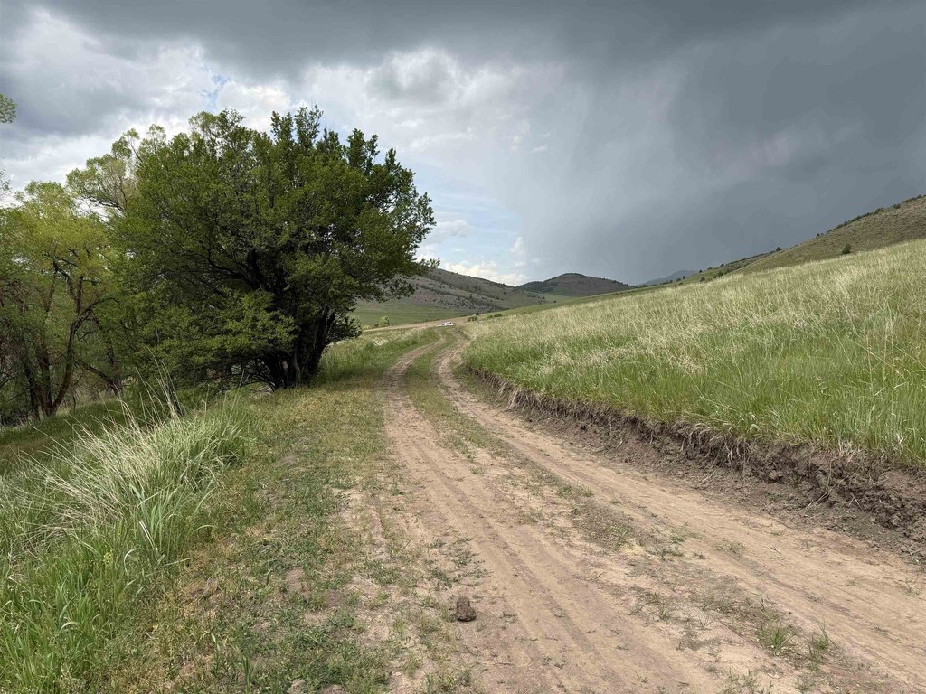 Picture 38
