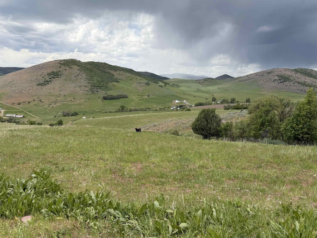 Picture 30