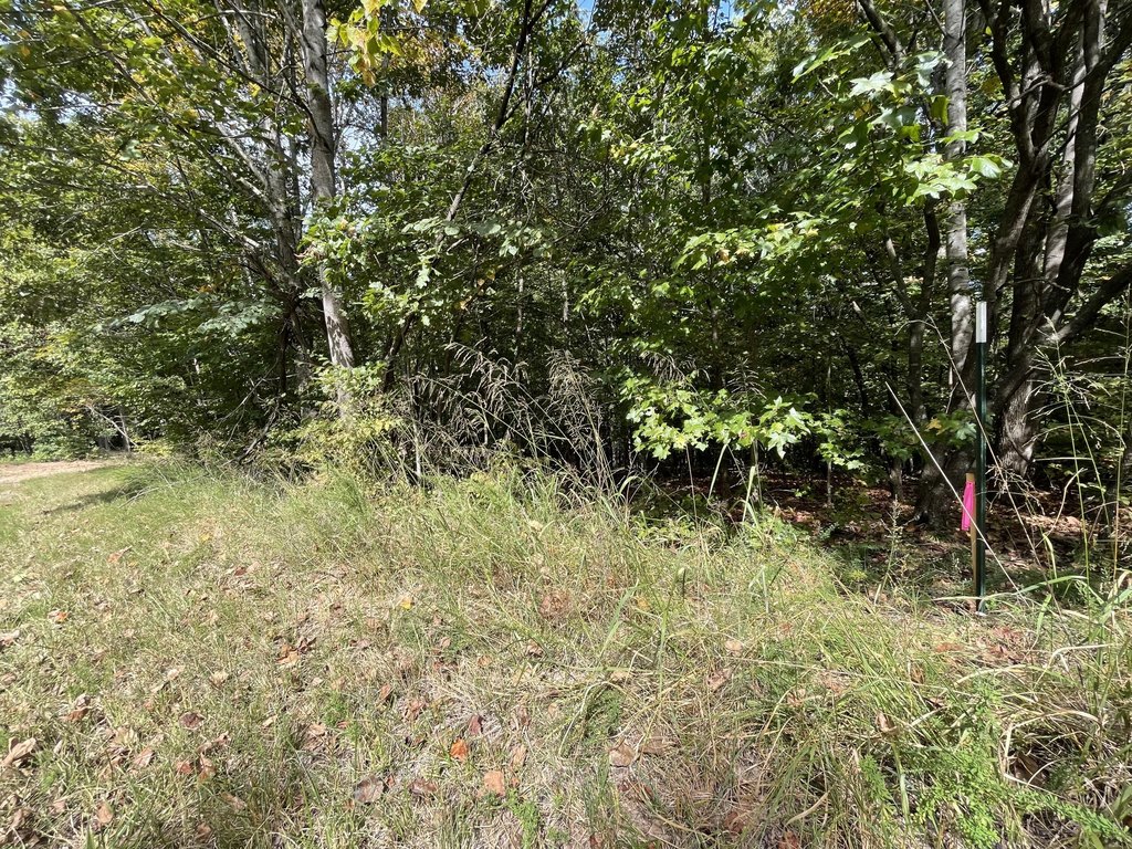 Picture 20