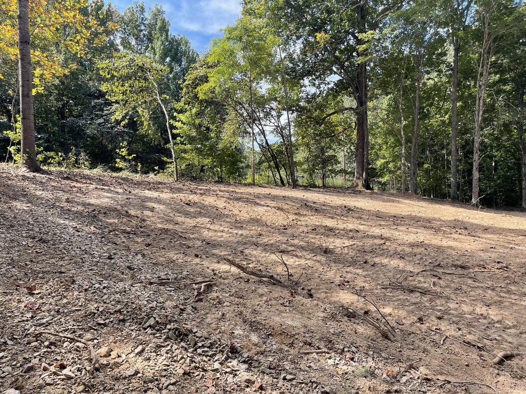 Picture 18
