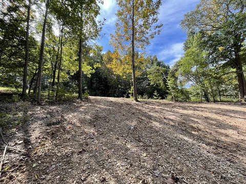 Land, Cadiz, KY