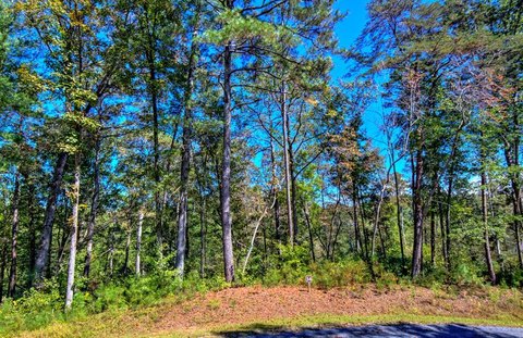 Ellijay, GA Vacant Mountain Lot