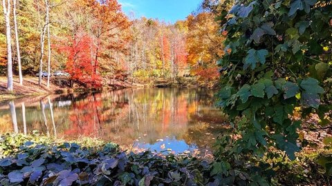 Large Acreage Near Harris Hospital