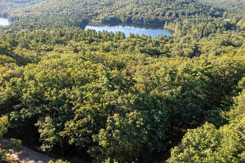 Land, Madison, NH