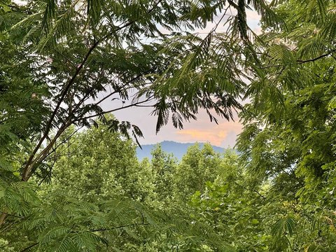 Franklin, NC Land Opportunity