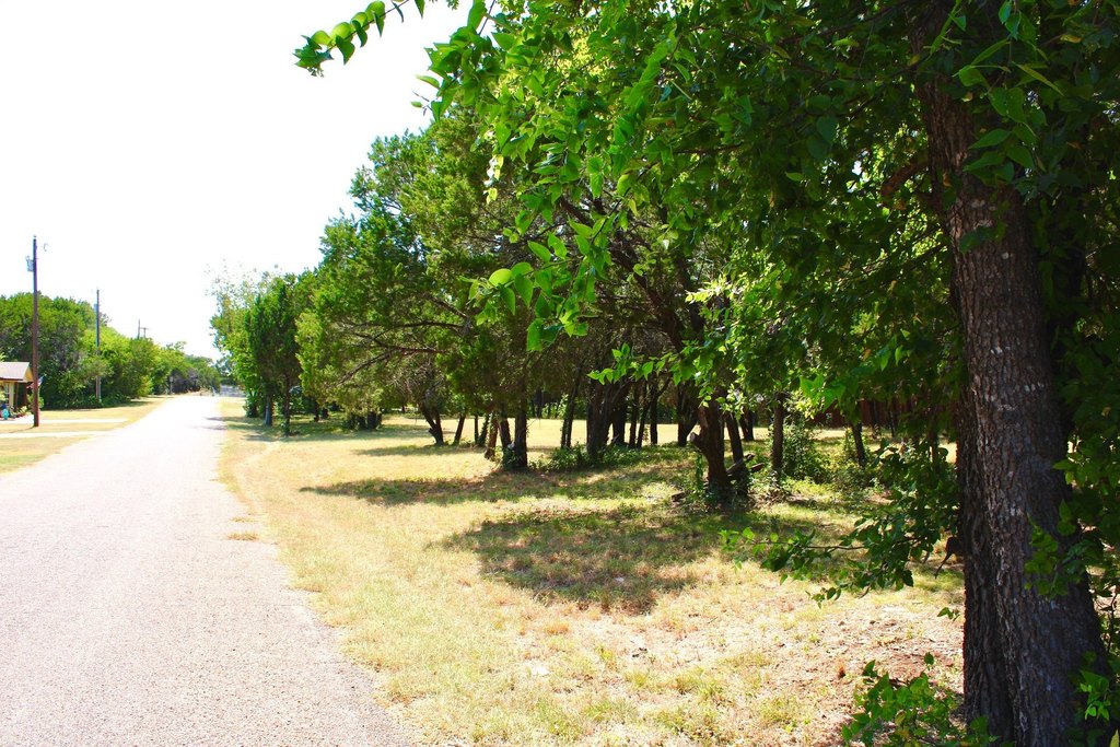 Picture 20