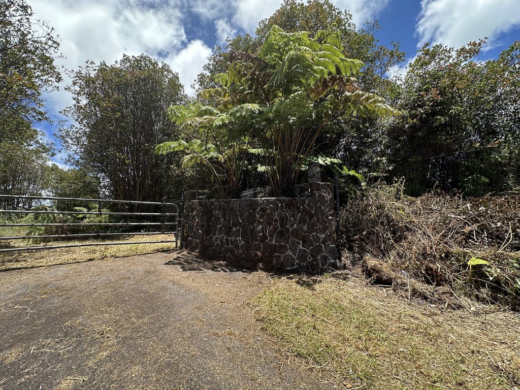 Picture 16