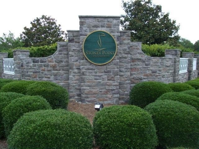 Picture 12