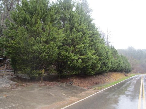Sevierville, TN Land For Sale