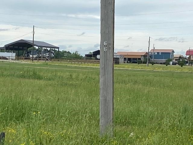 Picture 21
