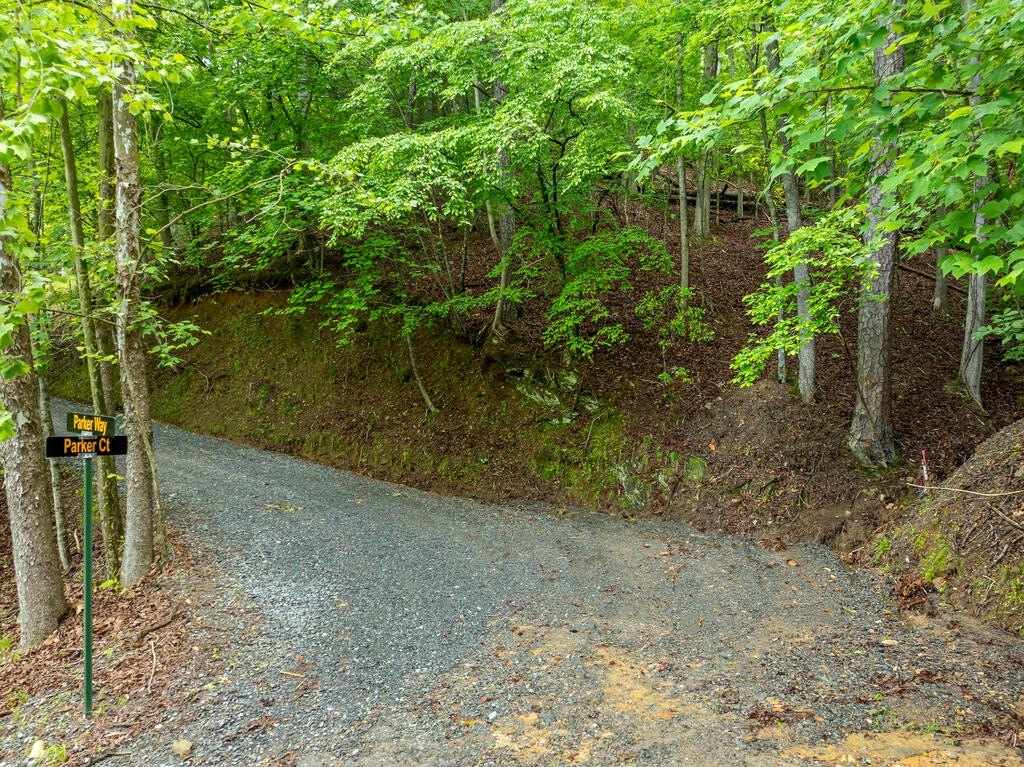Picture 5