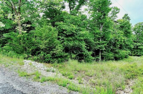 Horseshoe Bend Wooded Residential Lot
