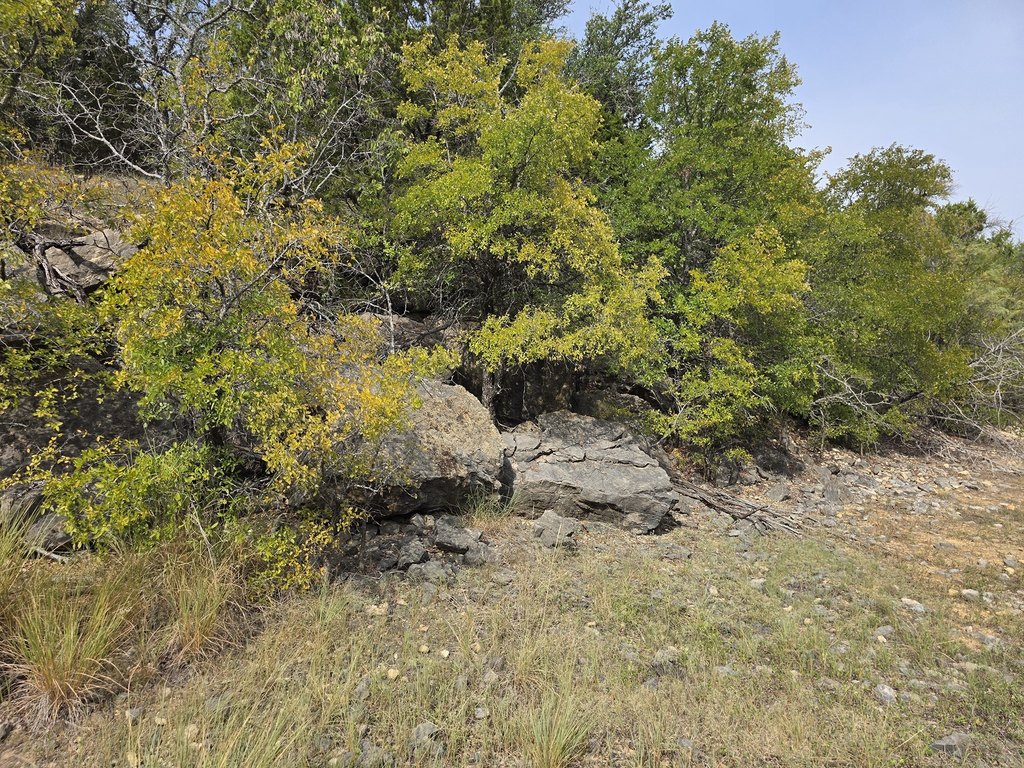 Picture 27