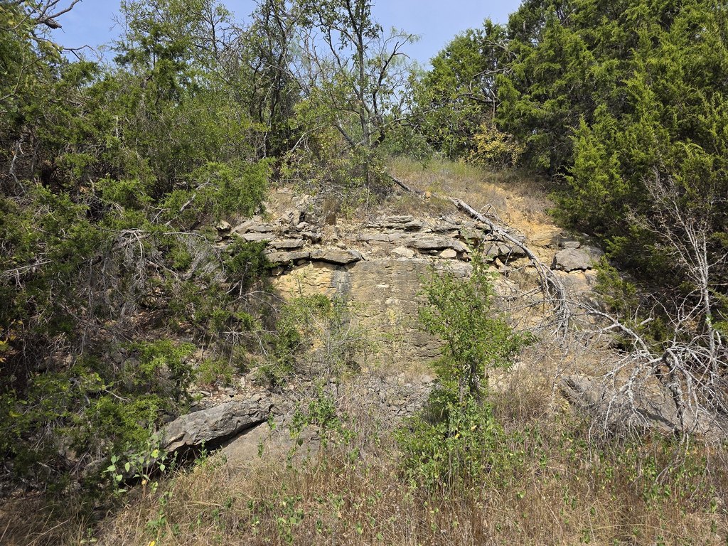 Picture 31