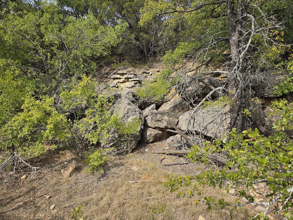 Picture 26