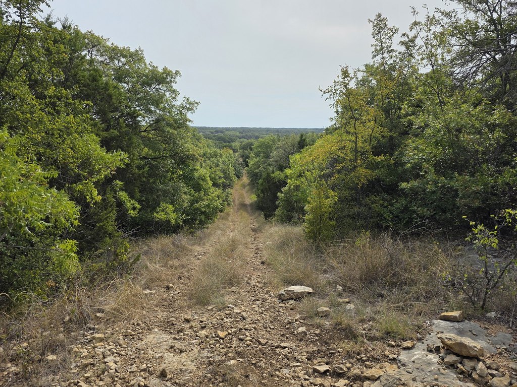 Picture 28