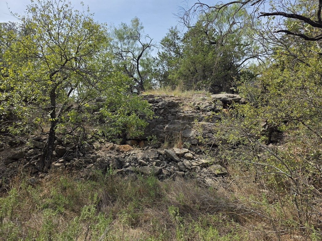 Picture 29