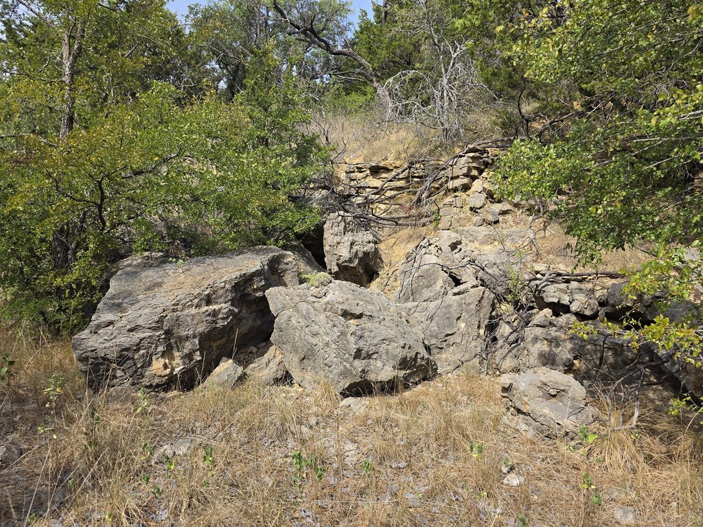 Picture 25
