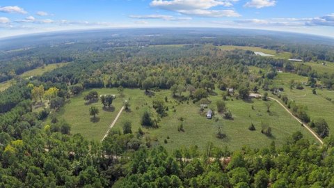 42.5 Acres in Grapeland, TX