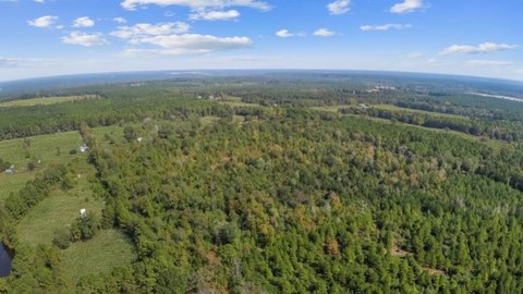 42.5 Acres in Grapeland, TX