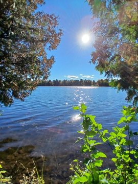 Land, Alpena, MI