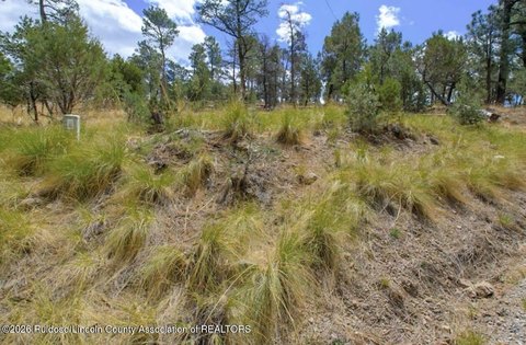 Land, Alto, NM