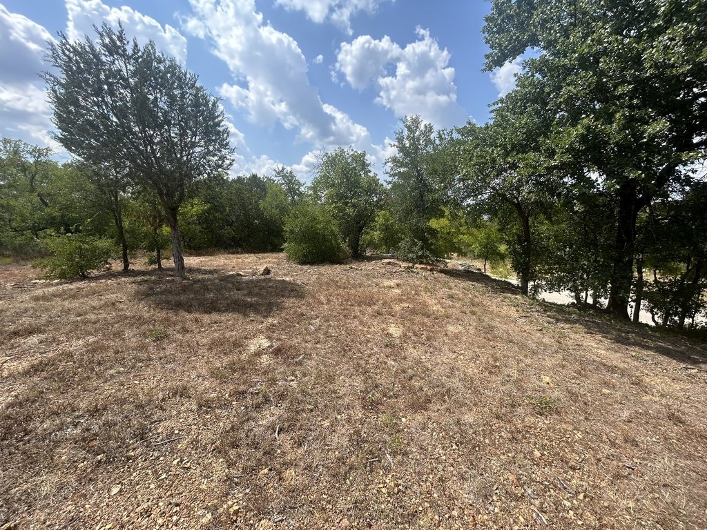 Picture 3