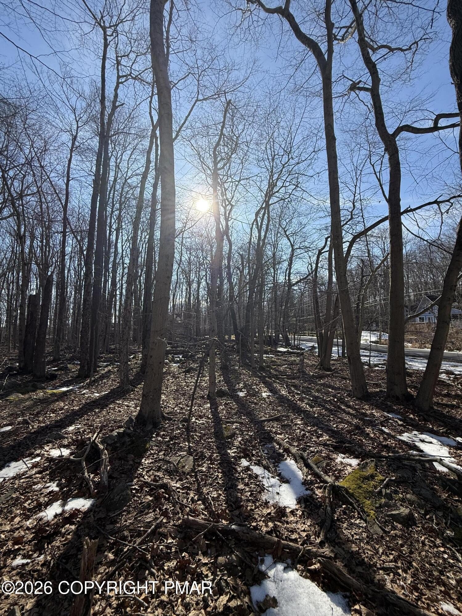 Pocono Lake Wooded Lot