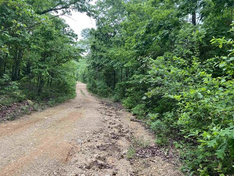 Secluded Ozark Acreage for Recreation