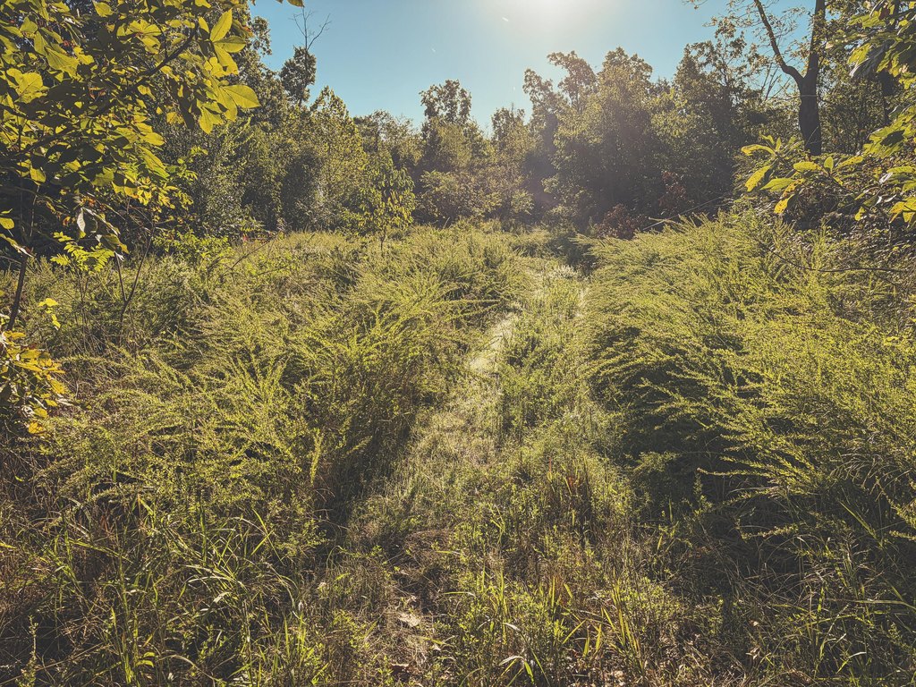 Picture 25
